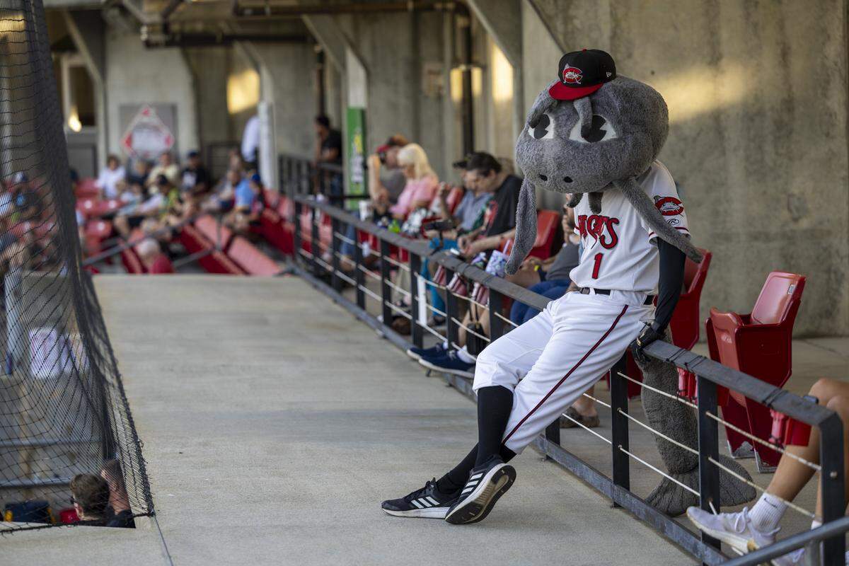 Muddy the Mudcat watches the Carolina Mudcats play during a recent game against the Kannapolis Cannon Ballers on Tuesday, July 22, 2025, at Five County Stadium in Zebulon, N.C. This is the Mudcats’ 35th and final season in Zebulon.