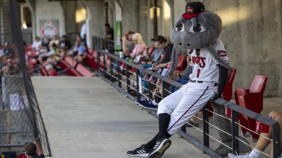 Muddy the Mudcat watches the Carolina Mudcats play during a recent game against the Kannapolis Cannon Ballers on Tuesday, July 22, 2025, at Five County Stadium in Zebulon, N.C. This is the Mudcats’ 35th and final season in Zebulon.