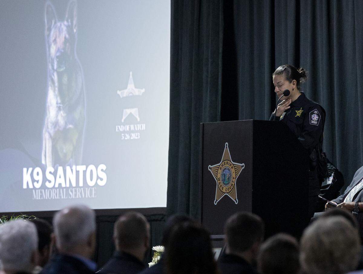 Master Deputy Maria Fuentes, handler of K9 Santos, speaks during a memorial service for the Wake County sheriff’s dog at the Kerr Scott Building on Wednesday, June 14, 2023, in Raleigh, N.C. K9 Santos, a German shepherd, was accidentally shot and killed by a Knightdale police officer after a traffic stop in May.