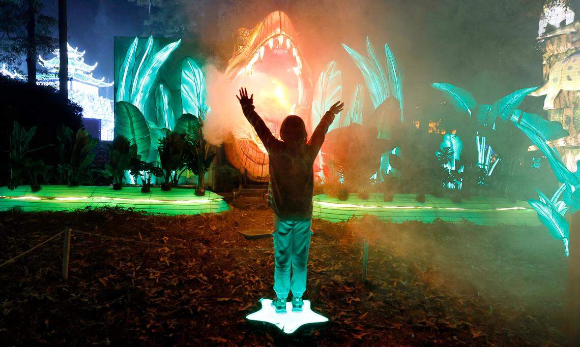 Ada Sorge, 10, of Cary interacts with the Tyrannosaurus Rex lantern at the N.C. Chinese Lantern Festival at Koka Booth Amphitheatre in Cary, N.C., Friday, Nov. 15, 2024. The lantern roars and blows smoke from its mouth and is one of over 40 lanterns at the festival.