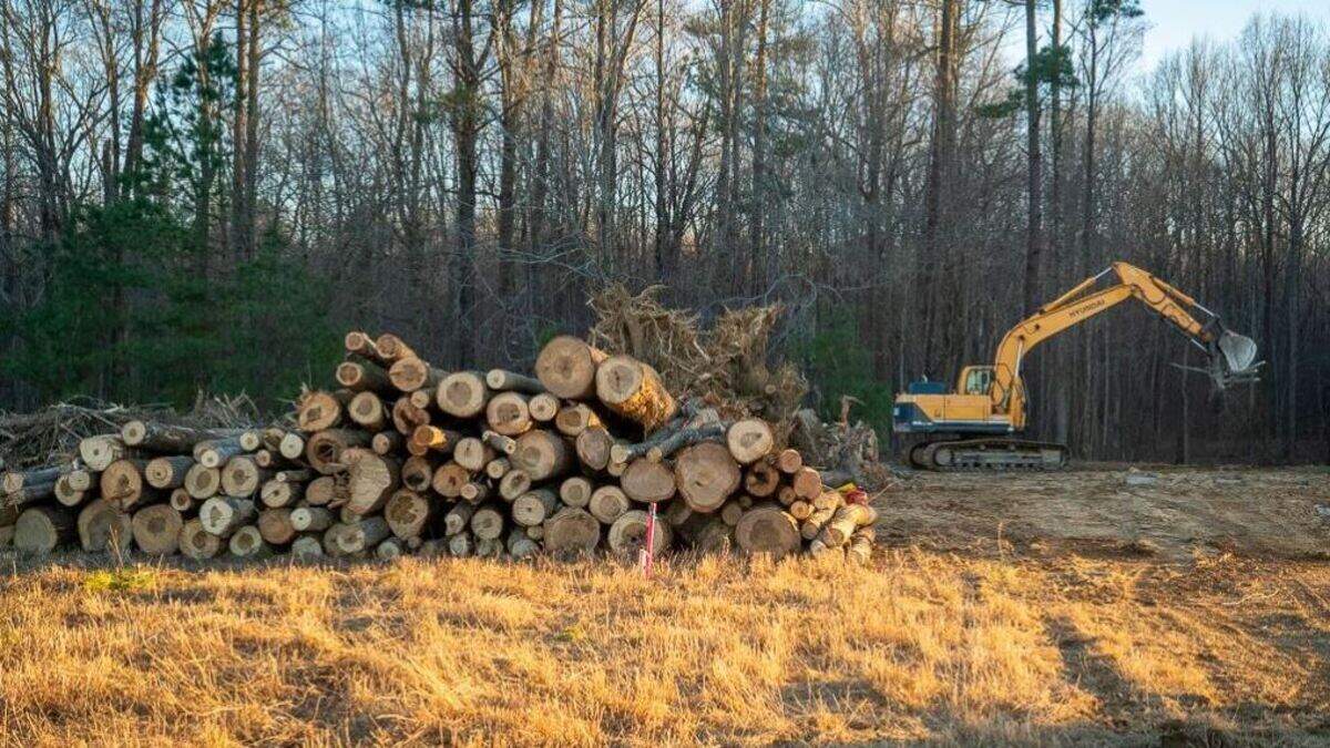 Construction started in 2019 on the Wetrock Farm subdivision in Bahama. The project failed and investors bought the land in 2021 as foreclosure loomed.