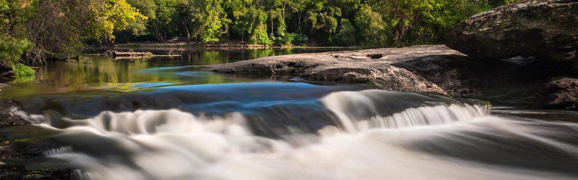 The Cape Fear River, seen here from Raven Rock State Park, is a major drinking water source for southeastern North Carolina, and it’s contaminated with PFAS, “forever chemicals” linked to cancers and other health problems. State regulators say thy want to set statewide limits on discharges of water containing the compounds. 