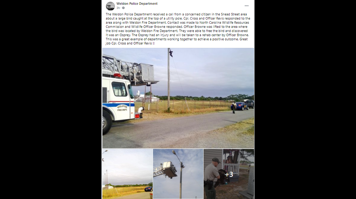 Weldon Police Department Facebook post