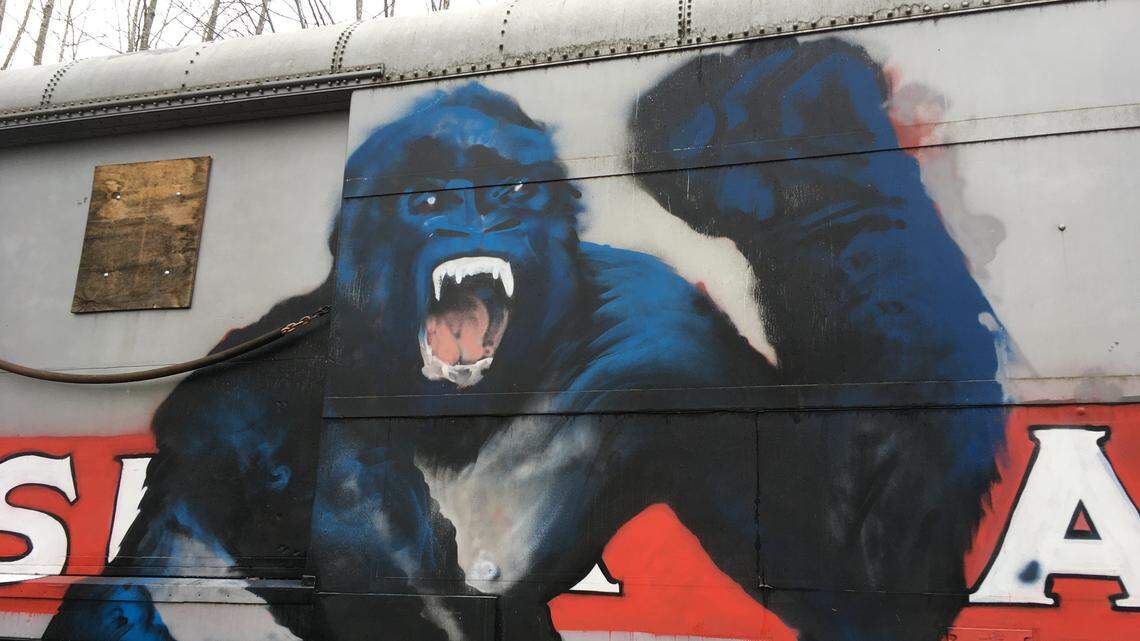 One of the nine rail cars the N.C. Department of Transportation bought from the Ringling Bros. and Barnum & Bailey Circus has paintings of animals on the side, likely added by a graffiti artist at some point after the sale.