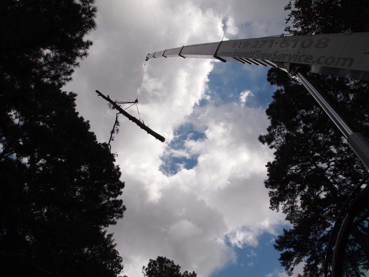 A 5,000-pound chunk of pine tree dangles from a crane during cleanup from Hurricane Florence in Raleigh on Monday, Sept. 17, 2018.