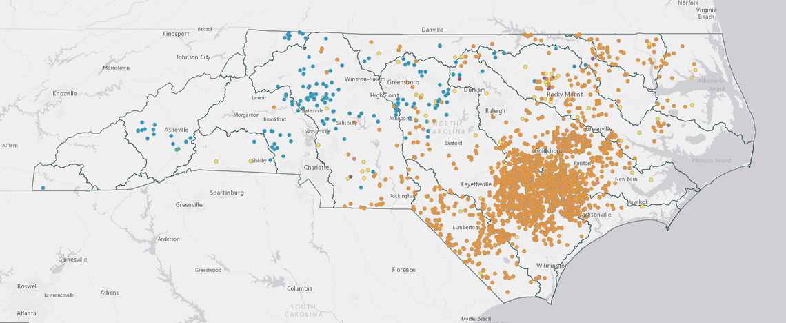 A map from the North Carolina Department of Environmental Quality, showing all of the permitted animal farms in North Carolina. Orange dots represent hogs, blue dots represent cattle, and purple or yellow dots represent poultry and other animal operations.