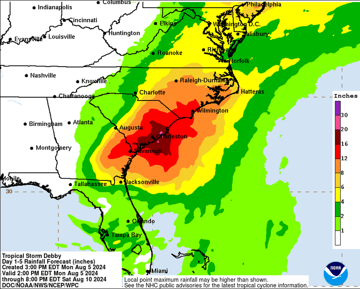 Most of North Carolina will get rain from Tropical Storm Debby, meteorologists say. In some places, up to 16 inches could fall. Trees along creeks and rivers may fall as a result of flooding that erodes the soil around their roots.