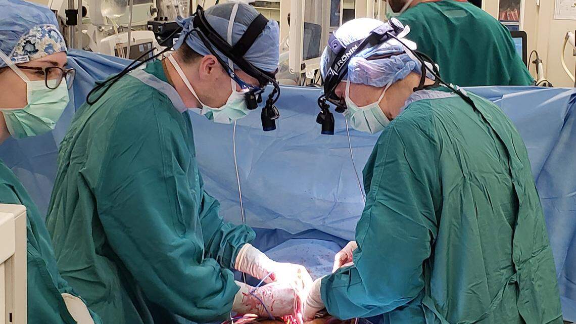 Duke Hospital expands pool of heart donors. Now it has reached a transplant milestone.