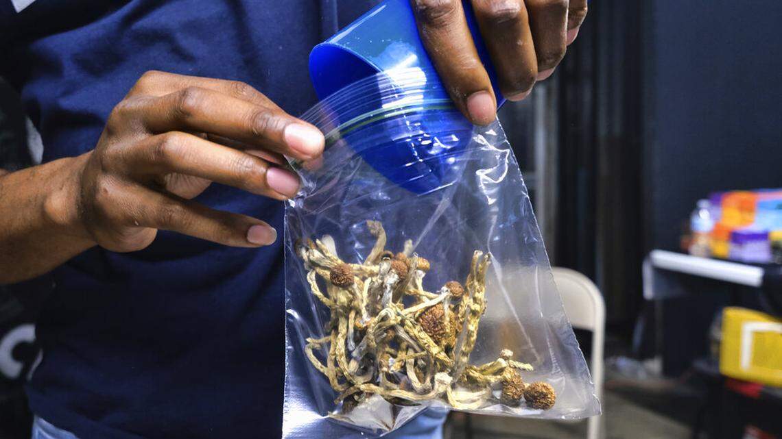A vendor bags psilocybin mushrooms at a pop-up cannabis market in Los Angeles. In 2020, voters in Oregon approved a measure legalizing therapeutic, regulated use of psilocybin. (File photo.)