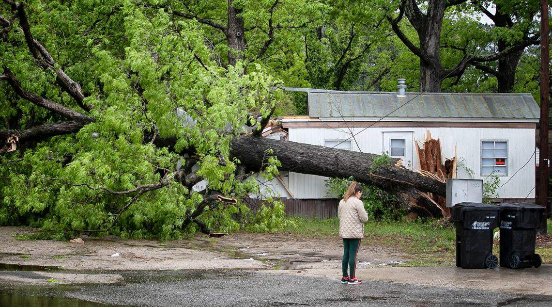 A large tree felled by high winds damaged a mobile home in the 4800 block of Fayetteville Road in Raleigh, N.C. after a line of strong storms moved through Wake County on Monday morning, April 13, 2020.