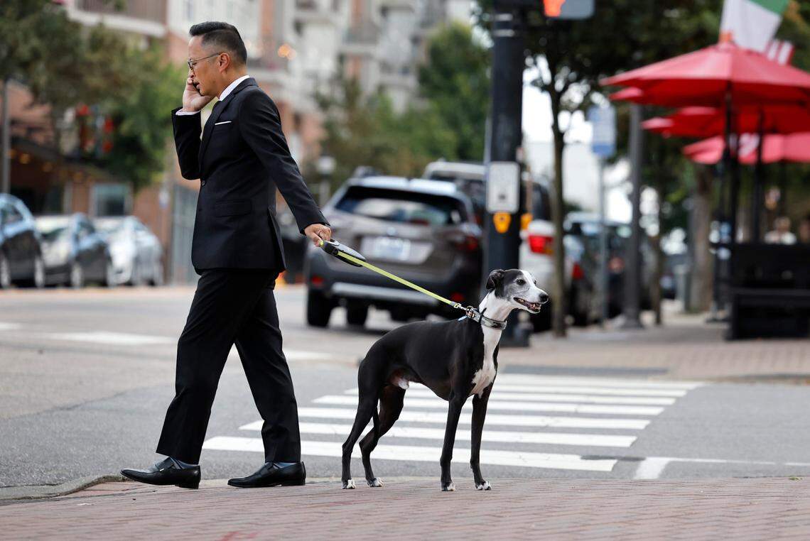 At 5:43 p.m., a dog walker prepares to cross W. North Street at Glenwood Avenue in the Glenwood South neighborhood of Raleigh, N.C., Friday, July 21, 2023.