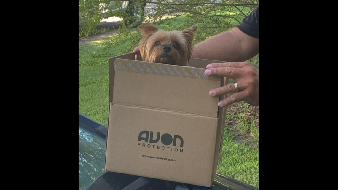 A Yorkie dog stolen in eastern Nebraska was found in Hallsboro, North Carolina, according to the Columbus County Sheriff’s Office in NC.