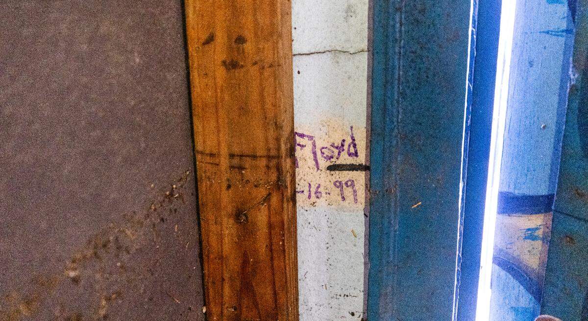 A water line from floodwaters leaves a mark on the wall inside the Fat Pelican bar in Carolina Beach on Tuesday, Sept. 17, 2024 after an unnamed storm dropped as much as 18 inches of rain in southeastern North Carolina over a 72-hour period. Flood Levels in Carolina Beach rivaled that of Hurricane Floyd in 1999.