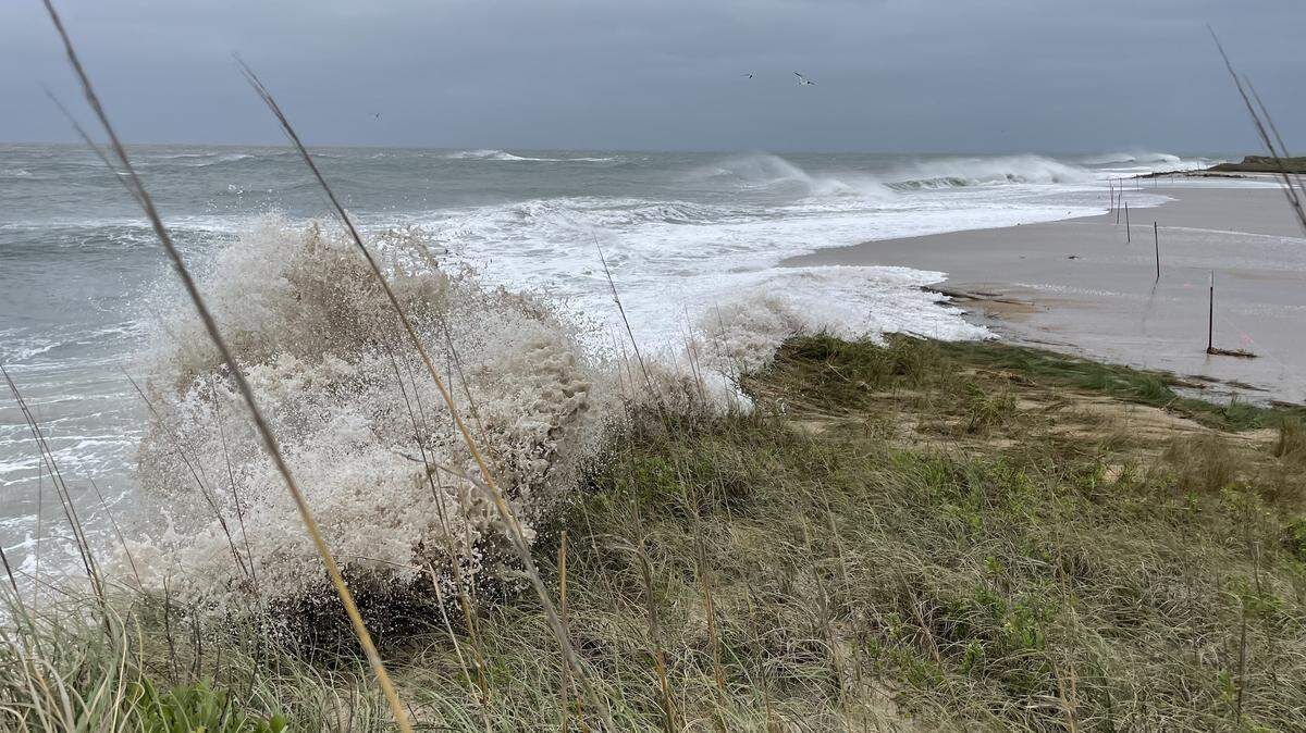 Jody Hopkins and his son Oden were jigging 33 miles off Ocracoke in nearly 700 feet of water when they made their record-setting catches, state officials said.