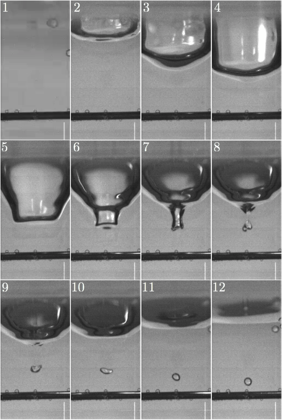 Blame this tiny air bubble for the infuriating sound of a dripping faucet.  Researchers captured it with a high-speed underwater camera for a study published Friday.