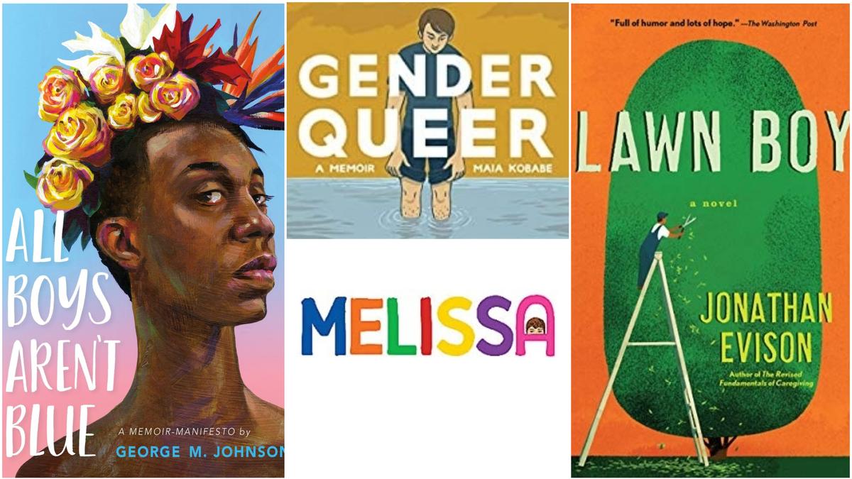 Across North Carolina, some Moms for Liberty groups have called for the removal of books from school libraries that they say contain sexual passages inappropriate for children. Some of the books they have objected to are shown here.
