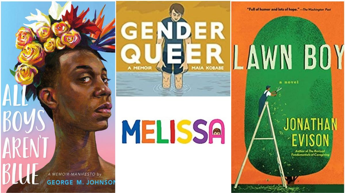 Across North Carolina, some Moms for Liberty groups have called for the removal of books from school libraries that they say contain sexual passages inappropriate for children. Some of the books they have objected to are shown here.