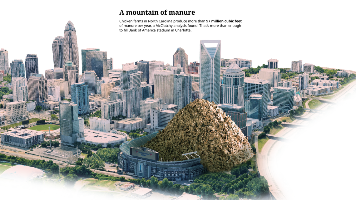 Chickens produce billions of pounds of waste in NC. No one tracks where it goes.