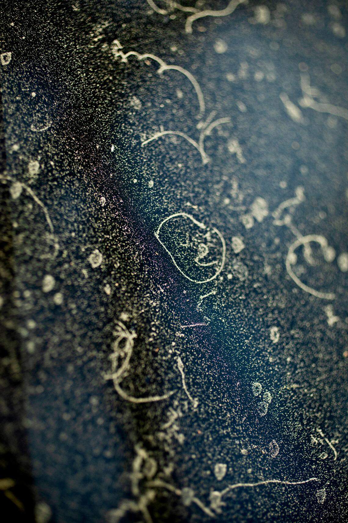 Because they are so common, seasonal allergies may not seem like a big deal. However, the symptoms can greatly affect quality of life.