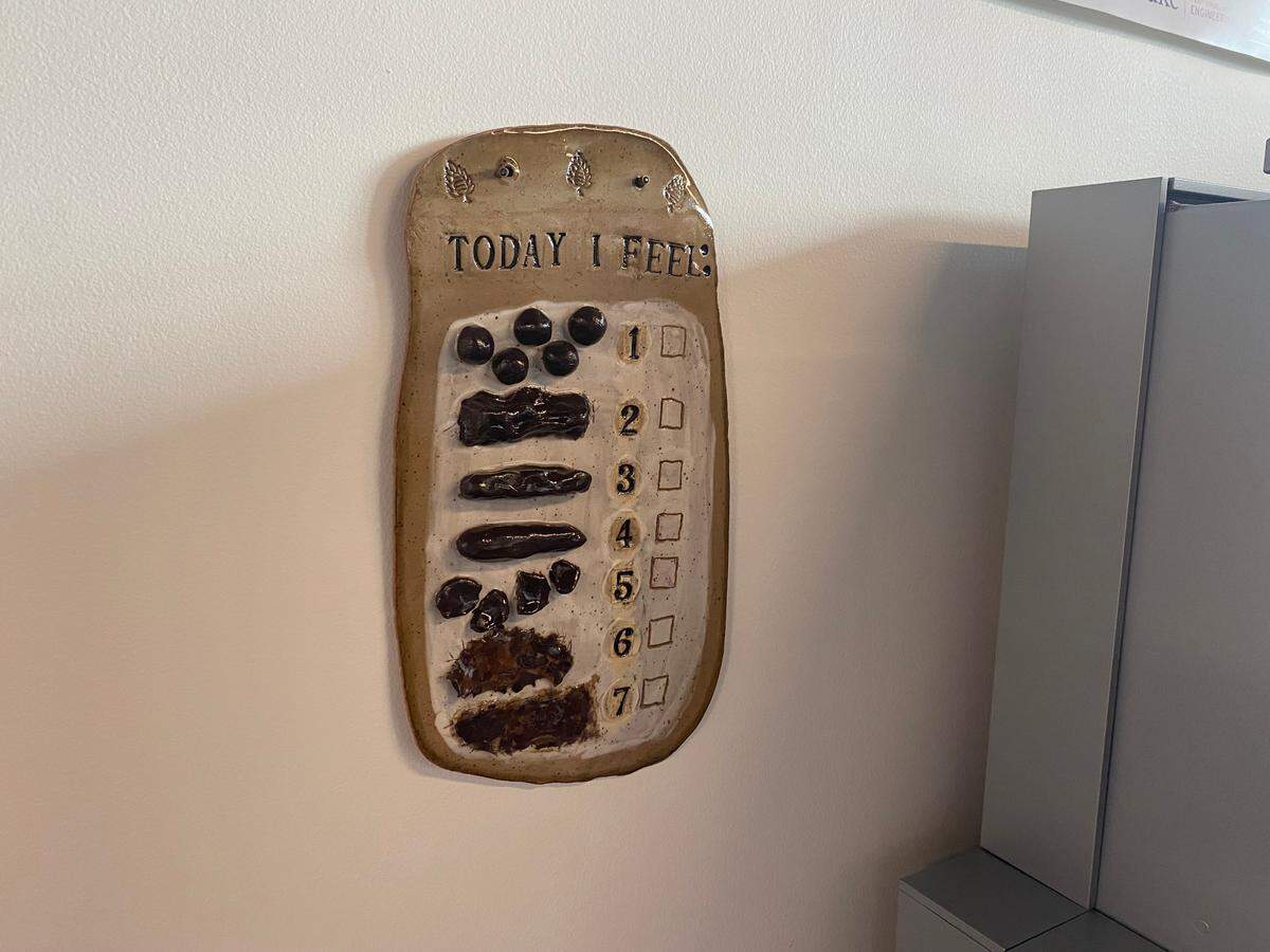Artwork depicting the Bristol Stool Chart hangs at the Duke Smart Toilet Lab in Durham.