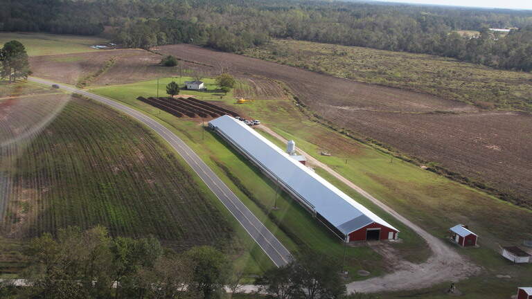 Hurricane Florence killed millions of chickens and turkeys. Now farmers are putting them to use.