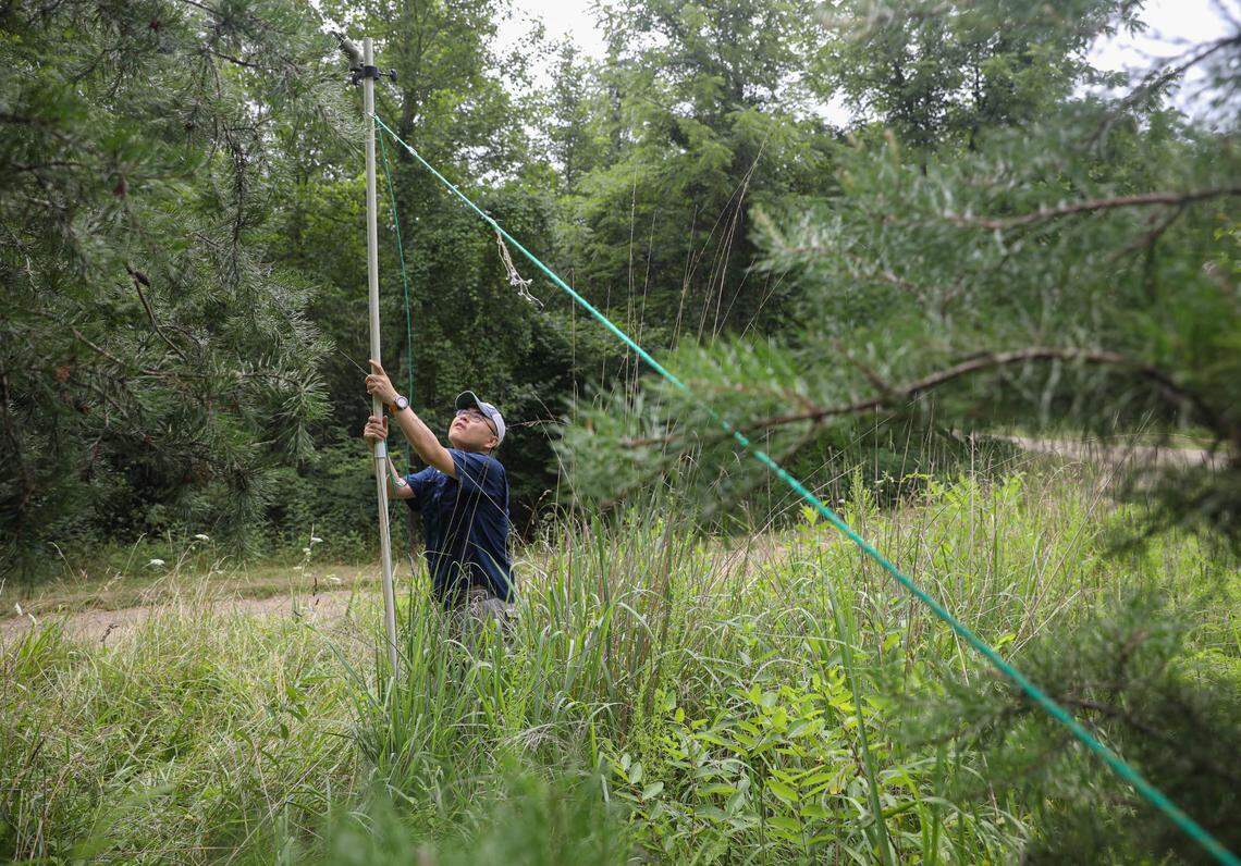 Mammologist Han Li checks the sturdiness of the pole holding his recorder that will be taping the acoustic sounds made by the bats living in Mayo State Park on July 9, 2020.