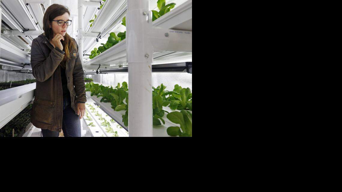 CROPBOX6-BZ-022515-HLL