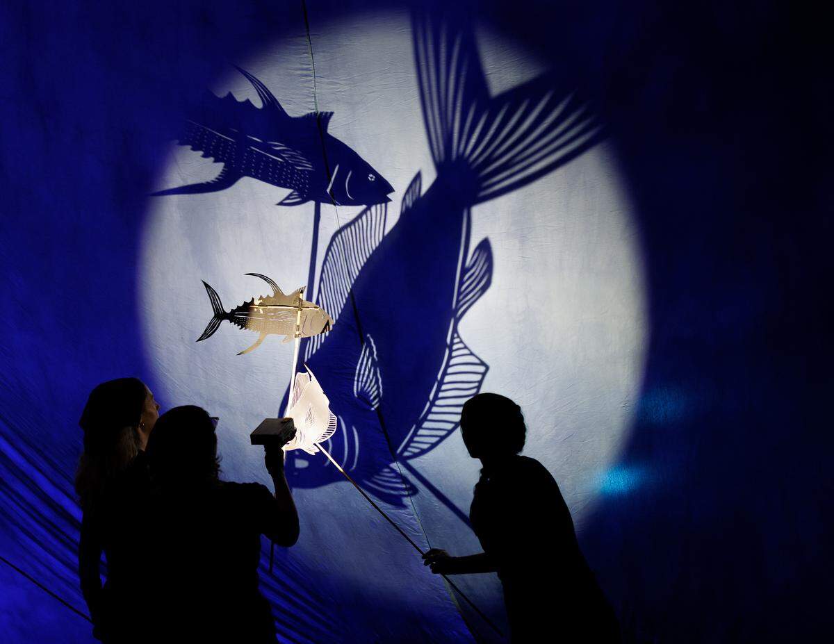 Puppeteers create shadows of fish during a rehearsal for Paperhand Puppet Intervention’s “The Gift” on Tuesday, Aug. 12, 2025, at the Forest Theatre in Chapel Hill, N.C.