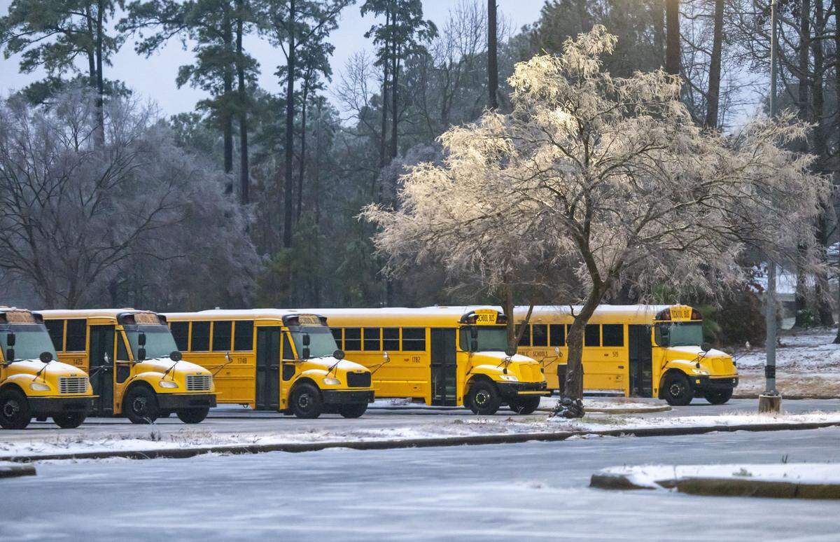An ice covered tree and dusting of snow on Wake County school buses parked at Southeast Raleigh High School on Monday, January 26, 2026, after winter storms moved through the Triangle over the weekend. 