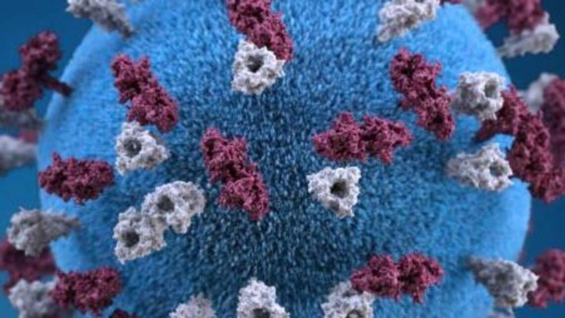 South Carolina sees first measles case of 2025, officials say. Here’s where