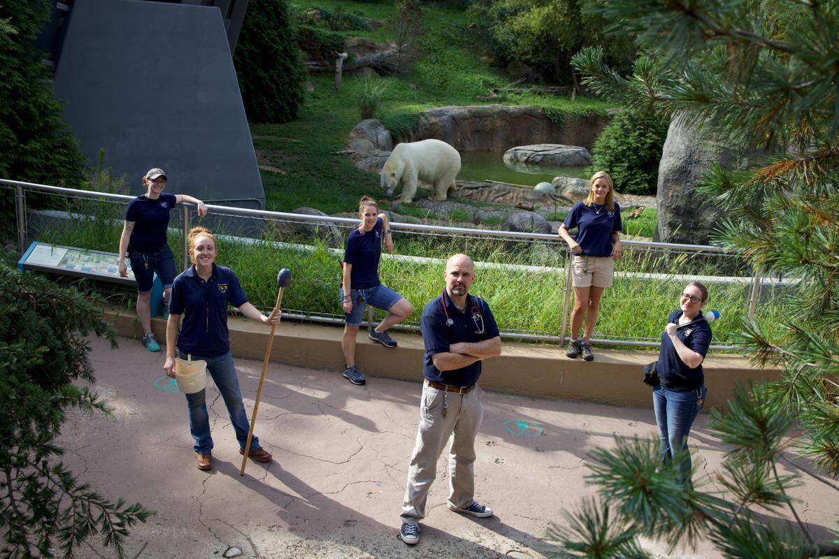 Happenings at the North Carolina Zoo are featured in the Nat Geo Wild series “Secrets of the Zoo: North Carolina.” From the show, L-R: Keeper Nicole Pepo, Keeper Jordan Strobel, Animal Supervisor Sally Adams, Head Vet Dr. Jb Minter, Keeper Kim Van Spronsen and Keeper Cat Clauson. Nikita the Polar Bear can be seen in the background.