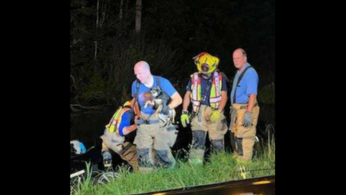 A resourceful dog beat incredible odds when it survived being trapped in a flooded car in Currituck County, N.C., on June 12.