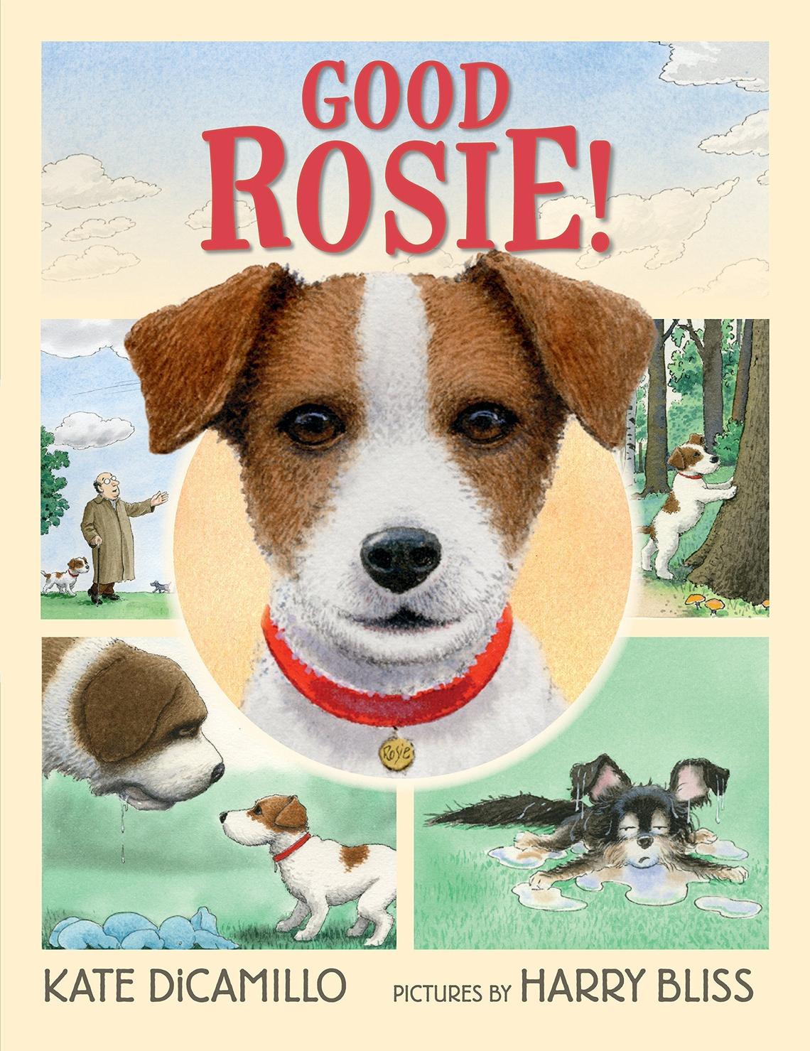 “Good Rosie!” by Kate Dicamillo.
