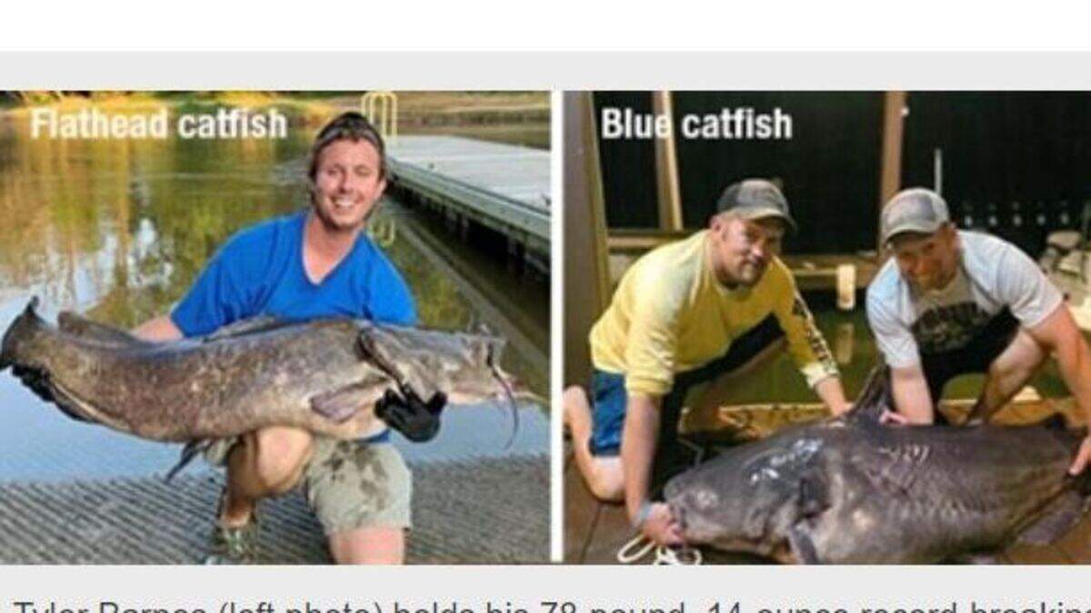 Two catfish caught in July broke North Carolina records, officials say.