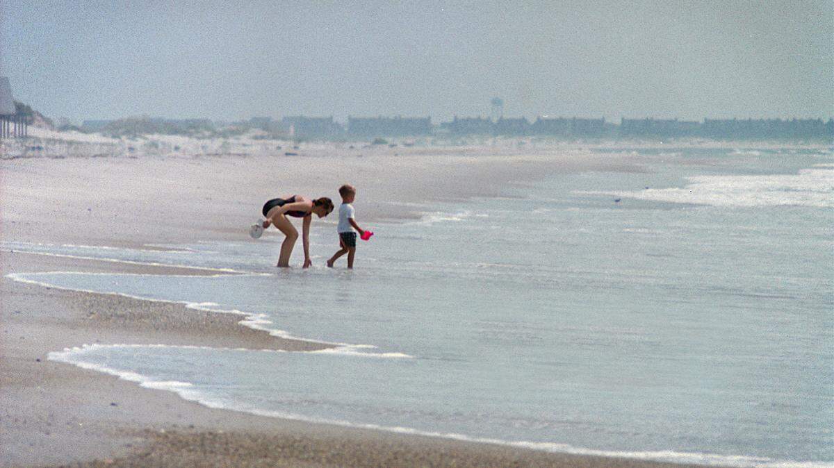 The tiny larvae of a thimble jellyfish can cause an itchy rash sometimes called "sea lice" for swimmers along the coast.