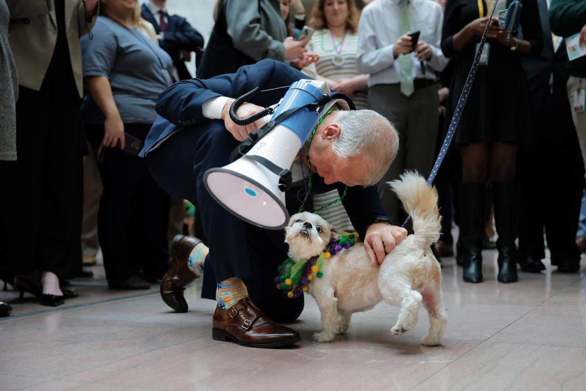 Sen. Thom Tillis greets a dog and their owner as he hosts the "Bipawtisan Doggi Gras Pawrade" in the Hart Senate Office Building on February 25, 2026 in Washington, DC. This "pawrade" event will be the last of its kind as Tillis is set to retire at the end of 2026. 