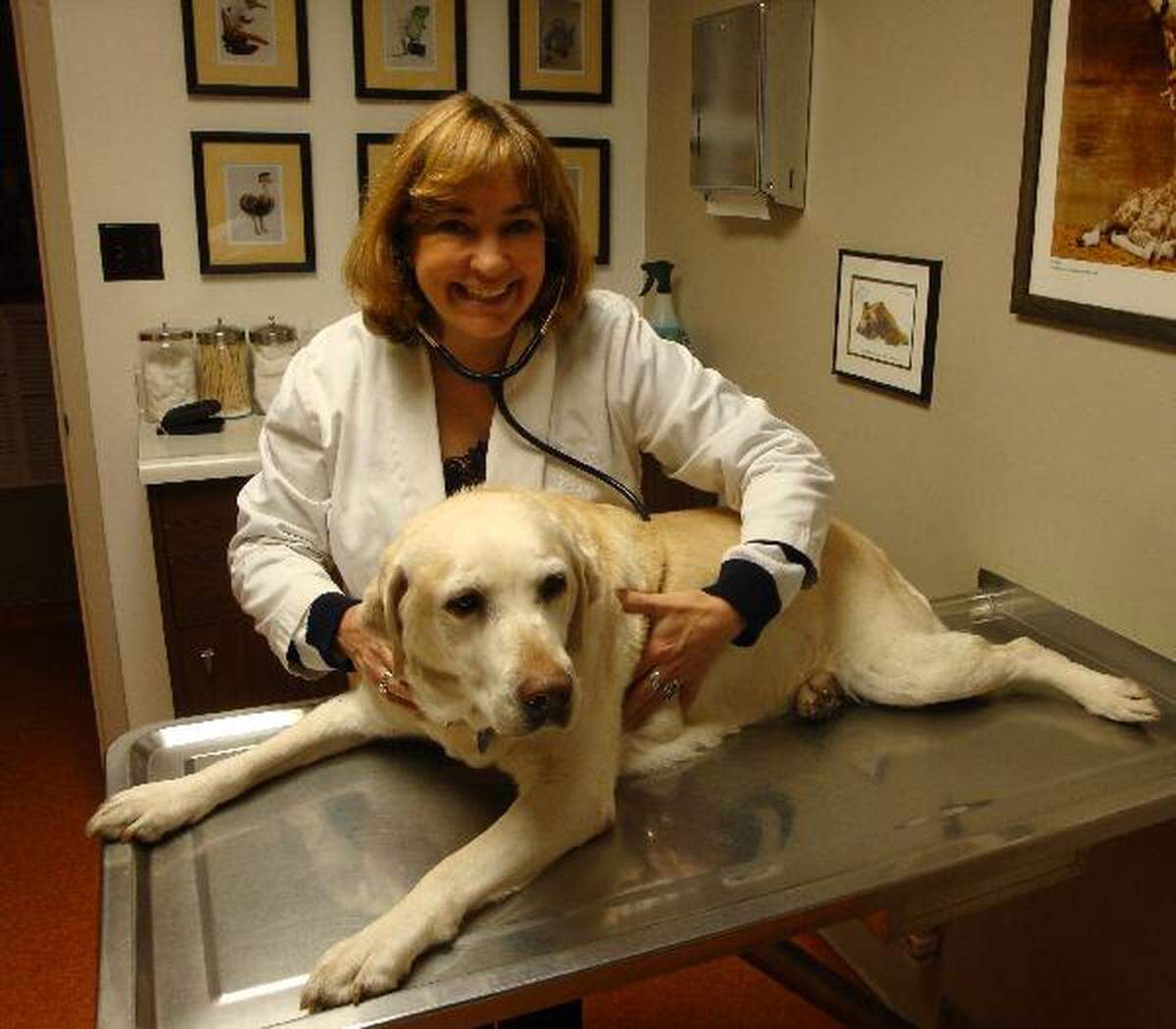 Chrisann Ohler, the 1979 UNC yearbook editor, is now a veterinarian in California.