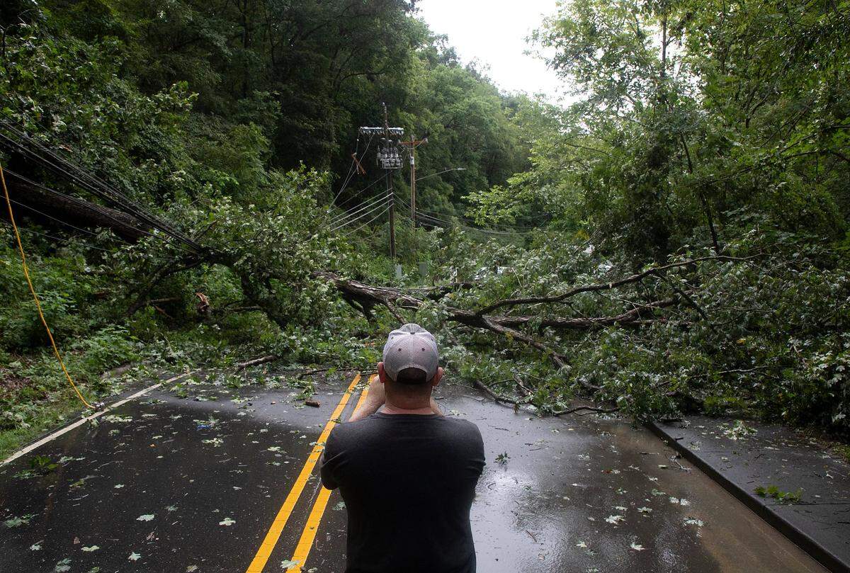 Scott Edwards takes a photo of a downed tree along Umstead Drive as Tropical Storm Debby brings heavy rain to the Triangle on Thursday, Aug. 8, 2024, in Chapel Hill, N.C.