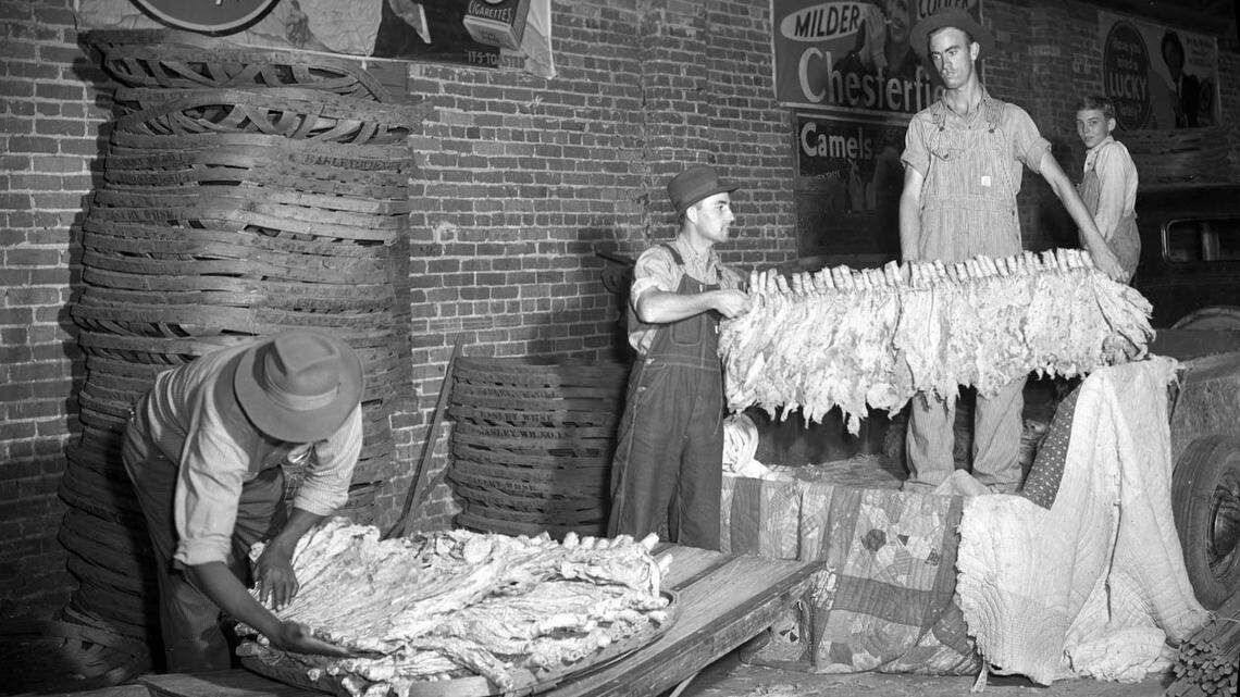 A scenes from opening day of the Border Belt and Eastern Carolina Market tobacco market auctions in August of 1942.