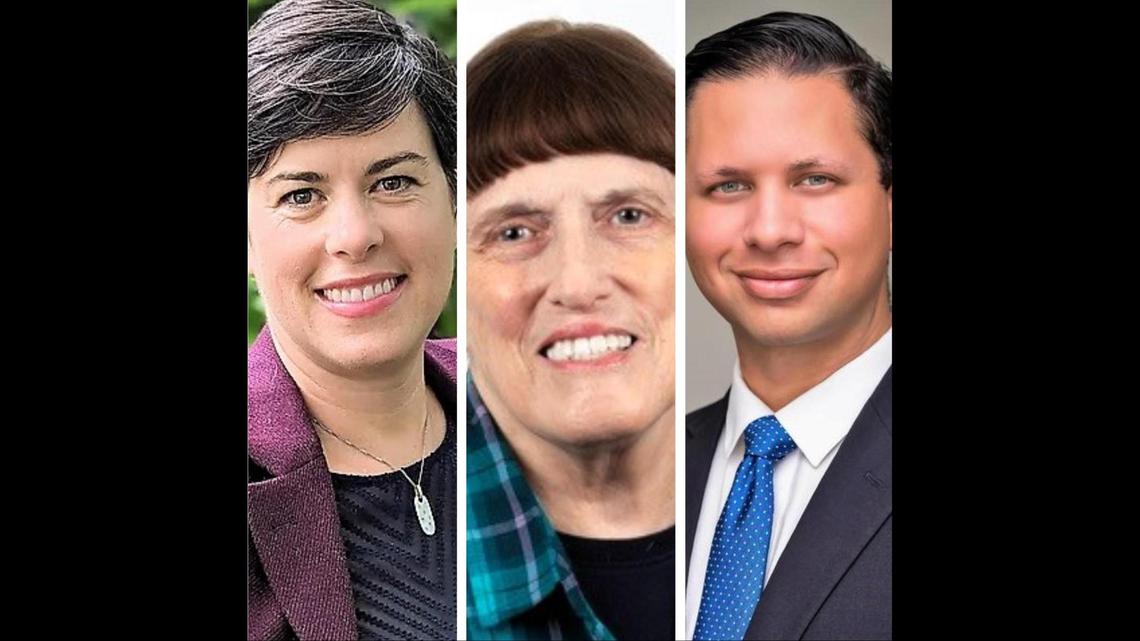 Voters elected newcomer Meaghun Darab (from left) and incumbents Evelyn Lloyd and Matt Hughes to three open seats on the Hillsborough Board of Commissioners on Nov. 7, 2023.
