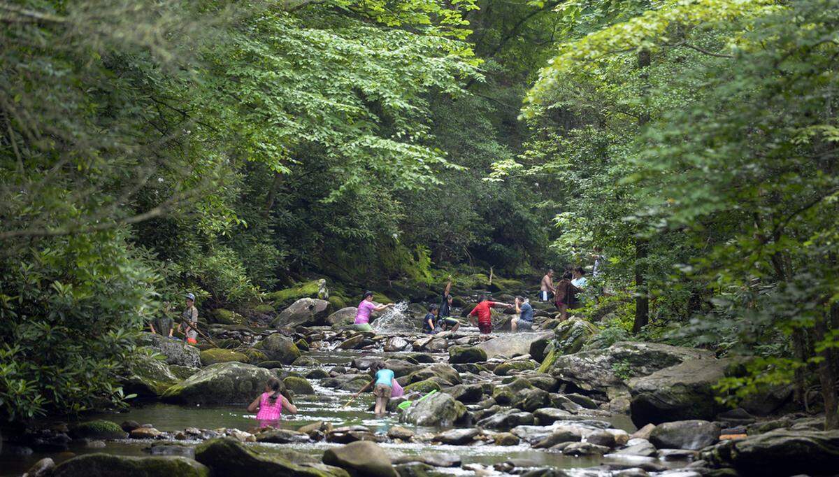 South Mountains Fall_11