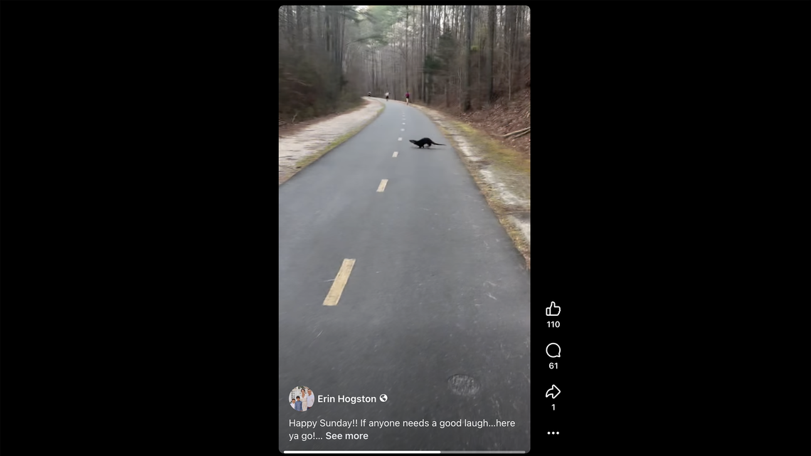 ‘It bit me:’ Otter injures woman near popular Triangle trail. What we know