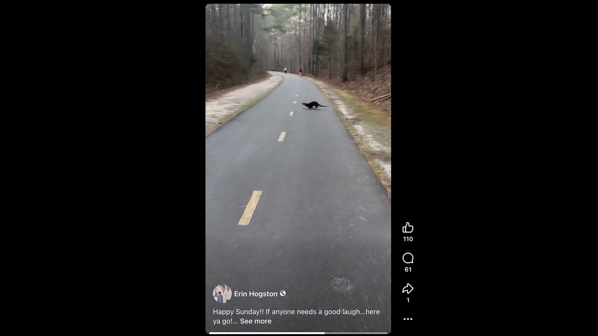 An otter attacked a North Carolina woman while she cheered on her friends at a local marathon on March 15, 2026, she said.