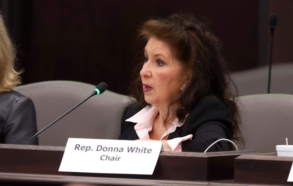 N.C. Rep. Donna McDowell White speaks in a meeting of the House Health Standing Committee meeting in Raleigh, N.C., Tuesday, May 30, 2023.