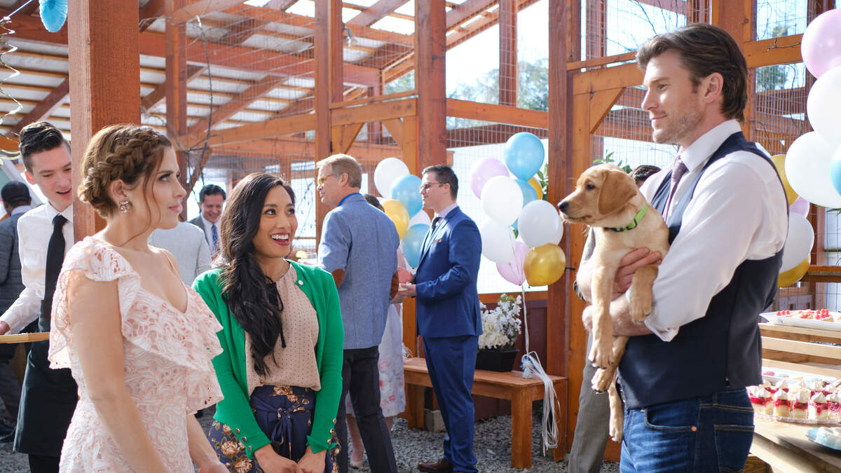 (L-R): Jen Lilley, Donna Benedicto and Christopher Russell in the Hallmark movie “Love Unleashed.”