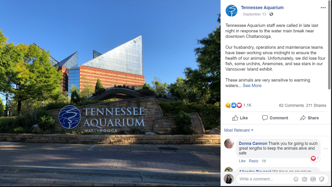 City water main break has deadly consequences for Tennessee aquarium, officials say