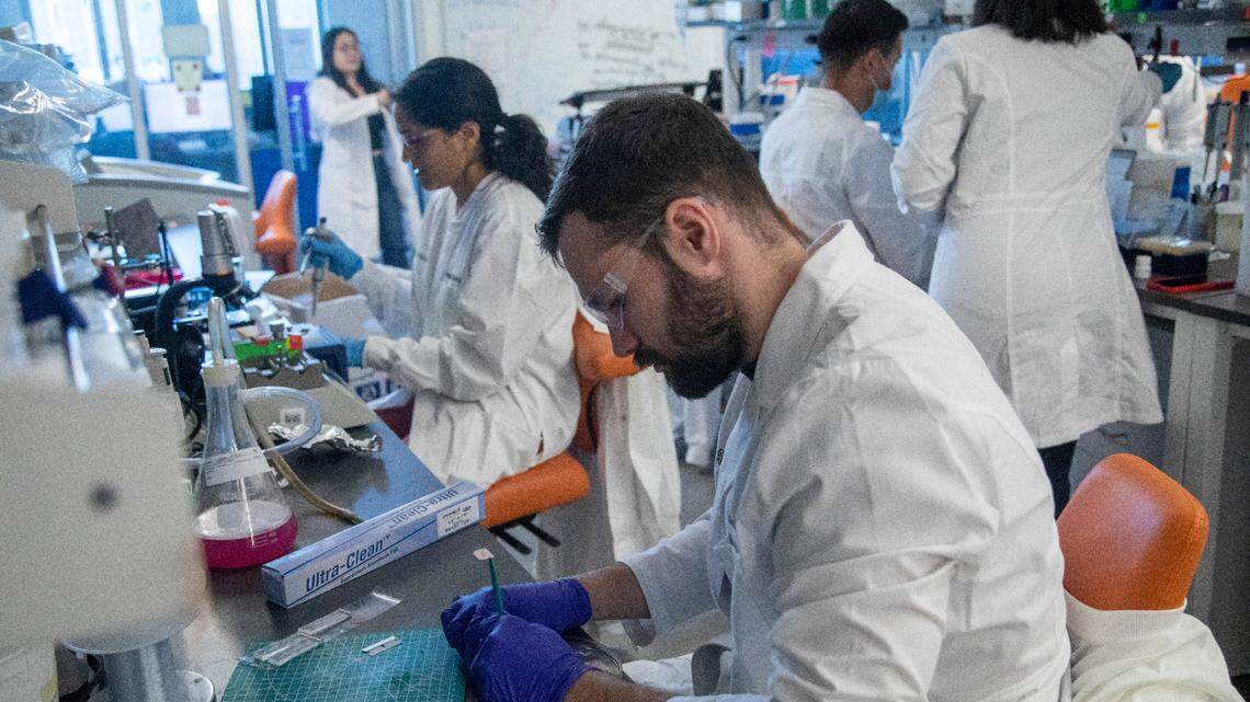 Scientists at work don’t act much like the scientists you see on TV