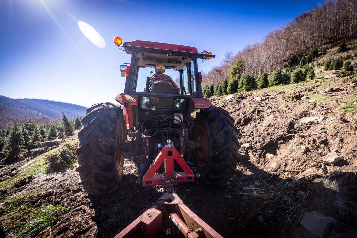 David Pittman drives a tractor across a damaged section of his Christmas tree farm on the opening day of the season, Saturday, Nov. 16, 2024. His farm is recovering from landslides and flooding caused by the remnants of Hurricane Helene.