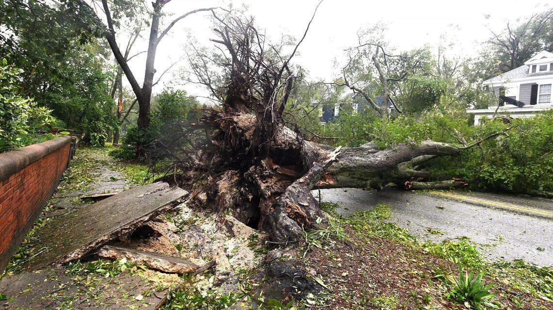 Dozens of downed trees block Market Street in the Historic District of Wilmington, N.C., as Hurricane Florence made landfall Friday, Sept. 14, 2018.