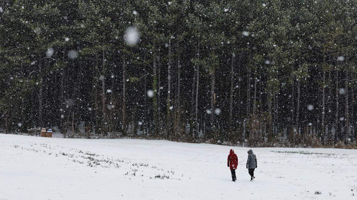 People enjoy Dix Park as snow falls in Raleigh, N.C., Thursday, Feb. 20, 2025.
